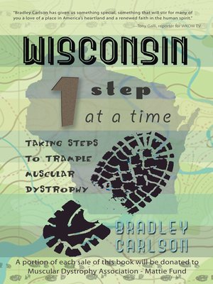 cover image of Wisconsin 1 Step at a Time